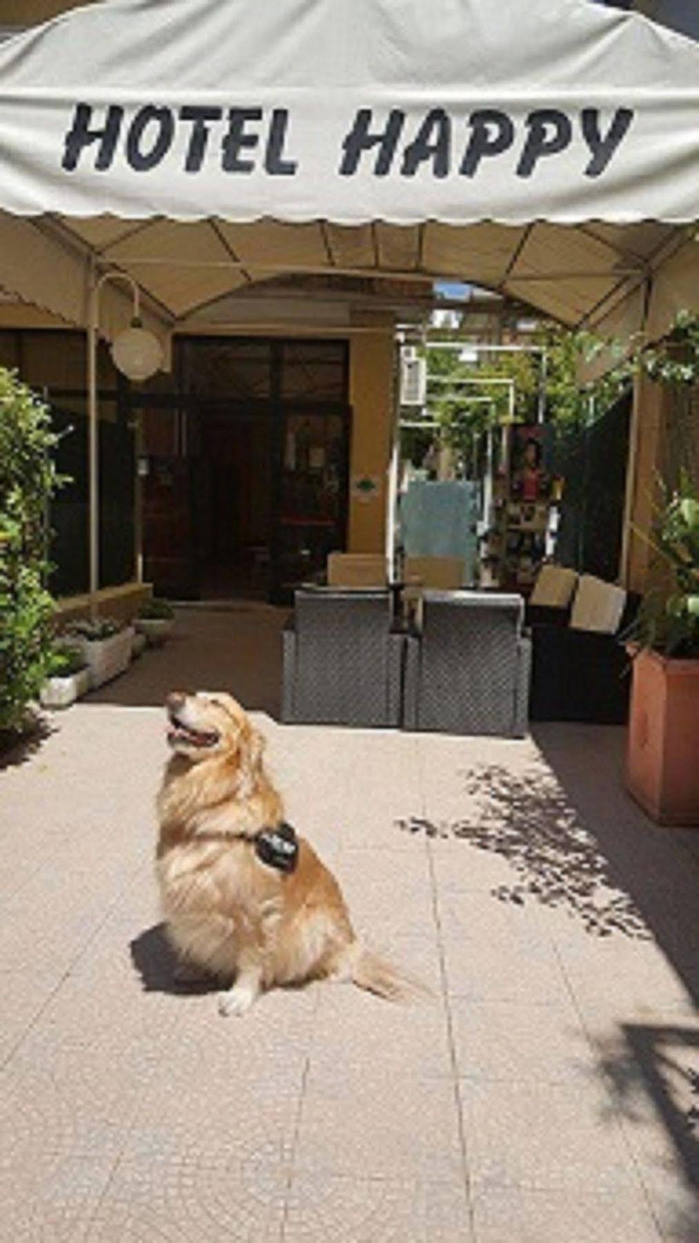 Hotel New Happy Rimini Luaran gambar